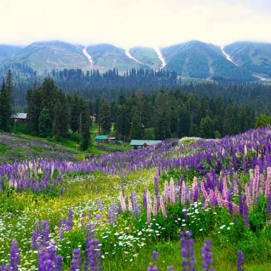 Gulmarg