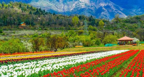 Srinagar